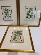 Antique chromolithograph flora for sale  Boynton Beach