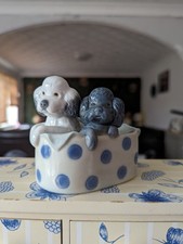 poodles puppies for sale  SKELMERSDALE