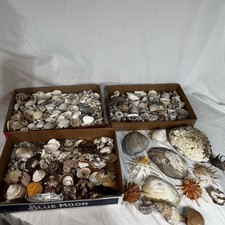 Huge lot sea for sale  Alliance