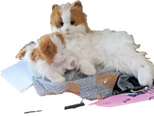 Furreal friends cats for sale  MANCHESTER