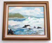 Todd scholz hawaiian for sale  Santa Fe