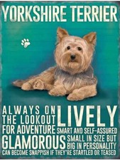 Yorkshire terrier metal for sale  UK