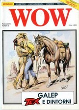 Fumetto fanzine wow usato  Villar Focchiardo