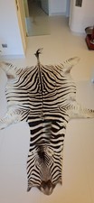 Una pella zebra usato  Bevagna