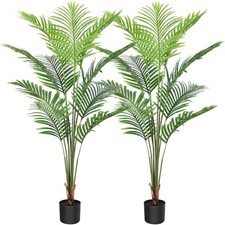 Artificial areca palm for sale  Brentwood