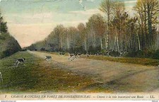 Fontainebleau chasse courre d'occasion  Fruges
