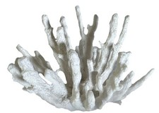 Rare white finger for sale  Minneapolis