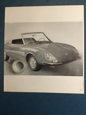 Fiat 850 spider usato  Torino