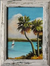 Small framed florida for sale  Thonotosassa