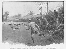 British field sports for sale  GLASGOW
