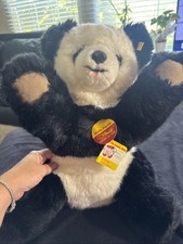Steiff bear molly for sale  Manning