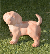 Stutuina cane terracotta usato  Civitanova Marche