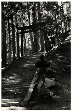Japon mont mitake d'occasion  Pagny-sur-Moselle