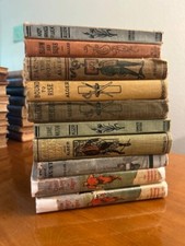 Horatio alger junior for sale  Howell