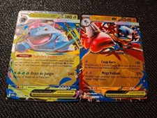 Lot cartes pokemon d'occasion  Surgères