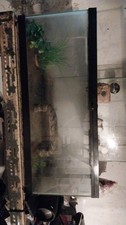 Fish lizard tanks for sale  Bristol