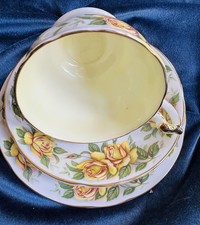 Paragon fine bone for sale  HATFIELD