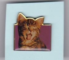 Pin offert whiskas d'occasion  Dunkerque-
