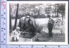 Woman child horse for sale  Weatherly