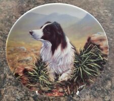 Border collie series for sale  NORTHWICH