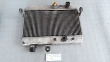 Radiatore suzuki burgman usato  Acerra