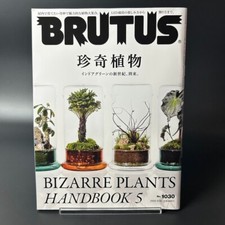 Brutus mai 2025 gebraucht kaufen  Versand nach Germany
