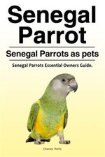 Senegal parrot. senegal for sale  Jessup