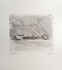 Carlo mattioli acquaforte usato  Sesto San Giovanni