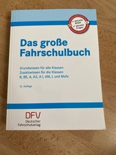 Große fahrschulbuch 12 gebraucht kaufen  Dresden