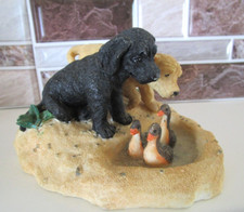 Labrador retriever puppy for sale  Buffalo