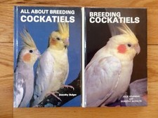 Breeding cockatiels breeding for sale  Paxton