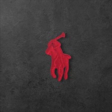 écusson ralph lauren d'occasion  Thiant