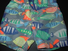 Boy toddler swim for sale  Centralia