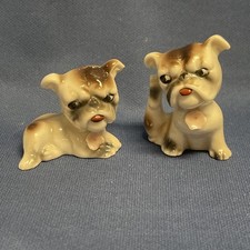 Adorable pair boston for sale  Chambersburg