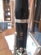 Clarinetto yamaha 250 usato  Campagnano di Roma