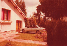 Ancienne photographie collecti d'occasion  Nogent-sur-Marne