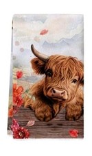 Highland cow calf for sale  CHEPSTOW