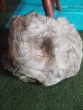 Awesome white oak for sale  Paw Paw