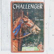 Challenger patsey gray for sale  Issaquah