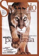 Specchio 190 1999 usato  Bastia Umbra