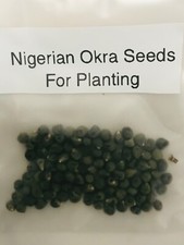 African nigerian okra for sale  SOUTHEND-ON-SEA