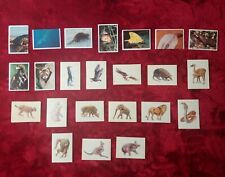 Panini animaux sauvages d'occasion  Paris XV