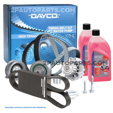 Kit distribuzione fiat usato  Sant Angelo del Pesco