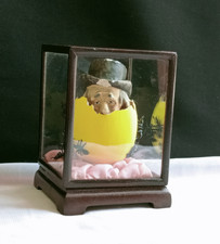 Vintage cased novelty for sale  TUNBRIDGE WELLS