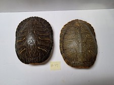 Red eared slider for sale  Ozark