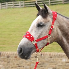 Mustang padded head for sale  BROXBOURNE