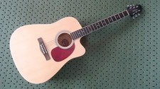 Woodstock whw41ce101 dreadnoug for sale  UK
