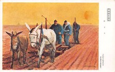 China chinese farmers d'occasion  France