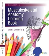 Musculoskeletal anatomy colori for sale  Denver