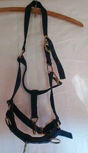 Shires lunging cavesson for sale  CHIPPENHAM